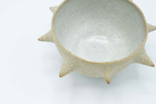 S21 - Spiked Bowl